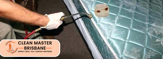 Mattress Bed Bug Removal Pelican Waters