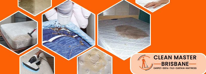 Mattress Cleaning Services Zillmere
