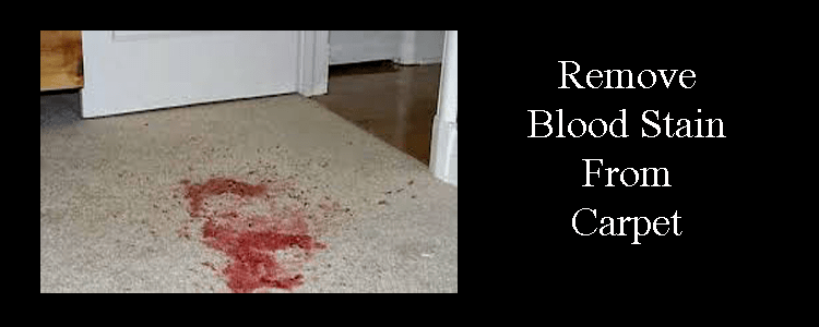 How To Remove Blood Stains From Carpet?