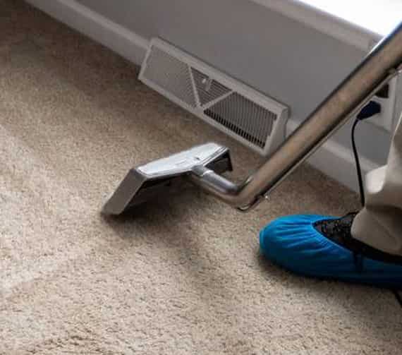 expert carpet cleaning brisbane